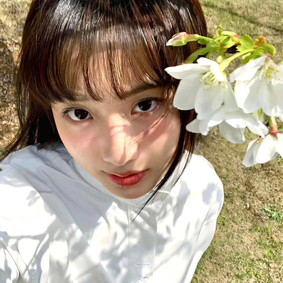 护花大臣